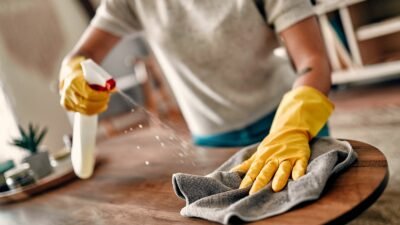 Professional Cleaning Services UAE