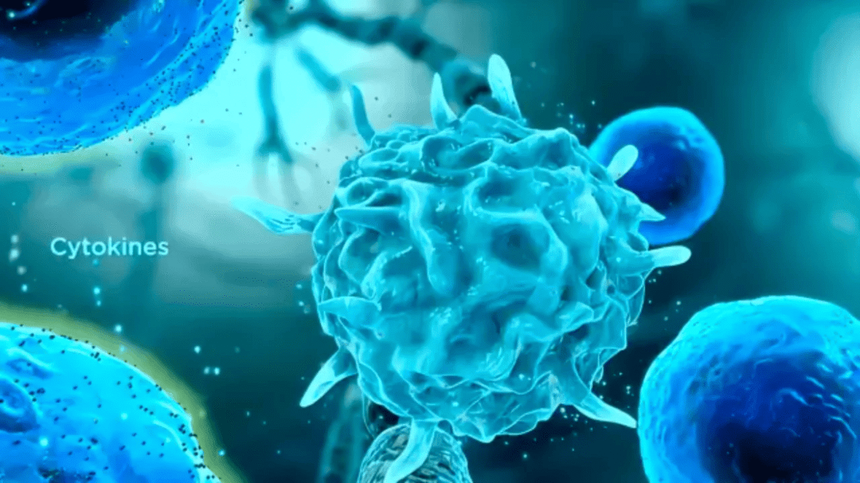 MSD Cytokine