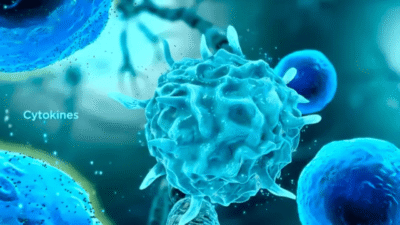 MSD Cytokine