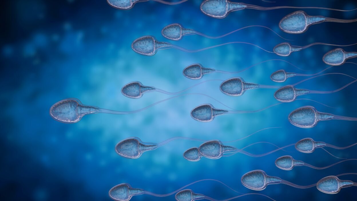 Sperm Freezing Dubai