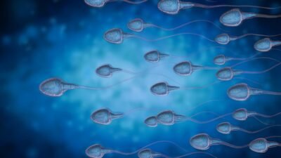 Sperm Freezing Dubai