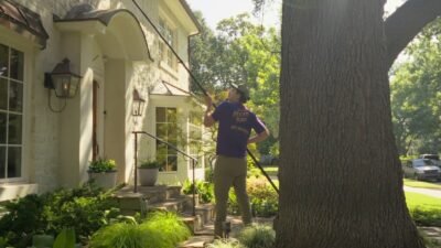 window cleaning in Dallas TX