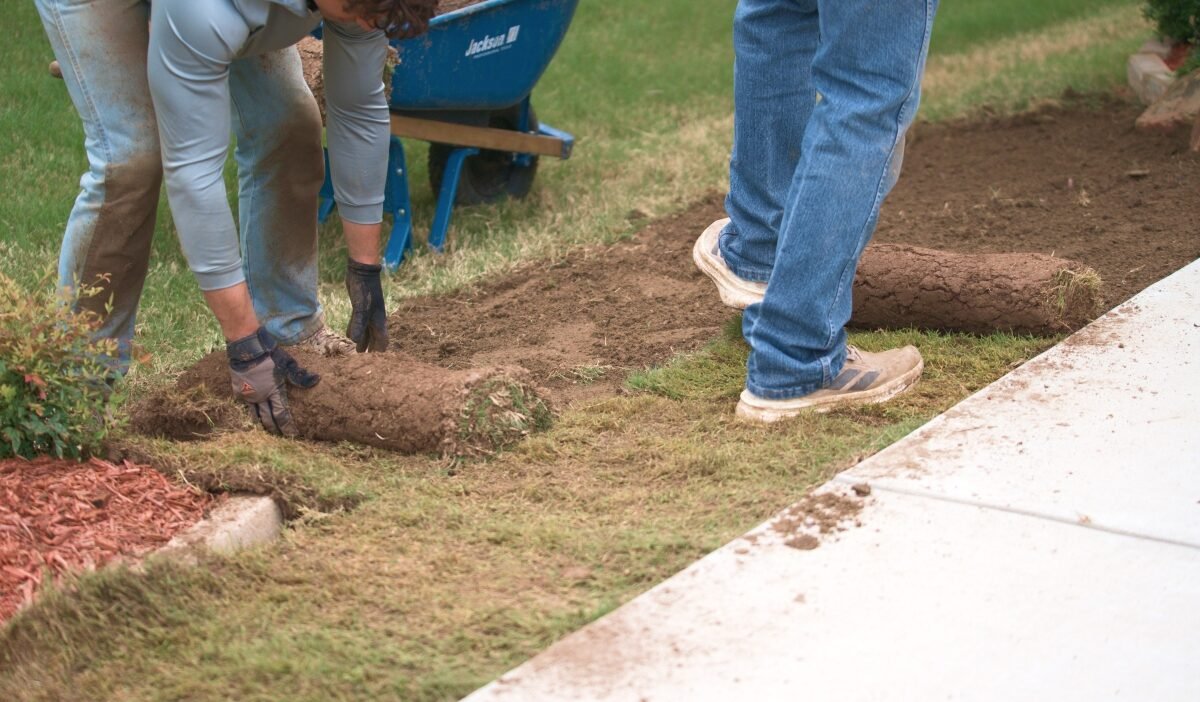 sod installation fort worth