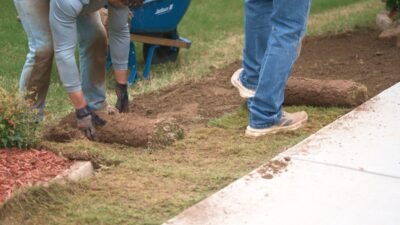 sod installation fort worth
