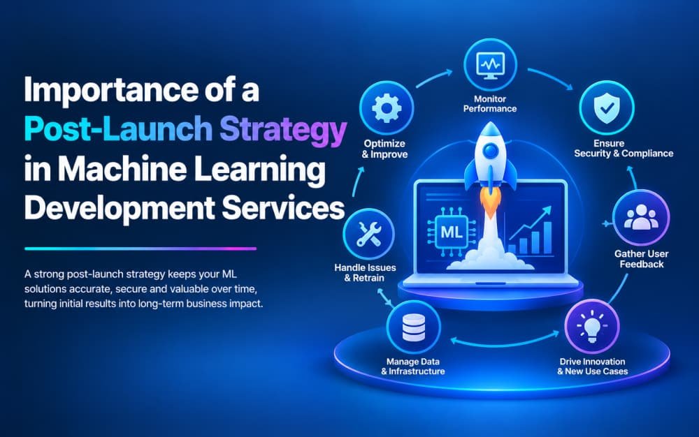 Importance of Post Launch Strategy in Machine Learning Development Services