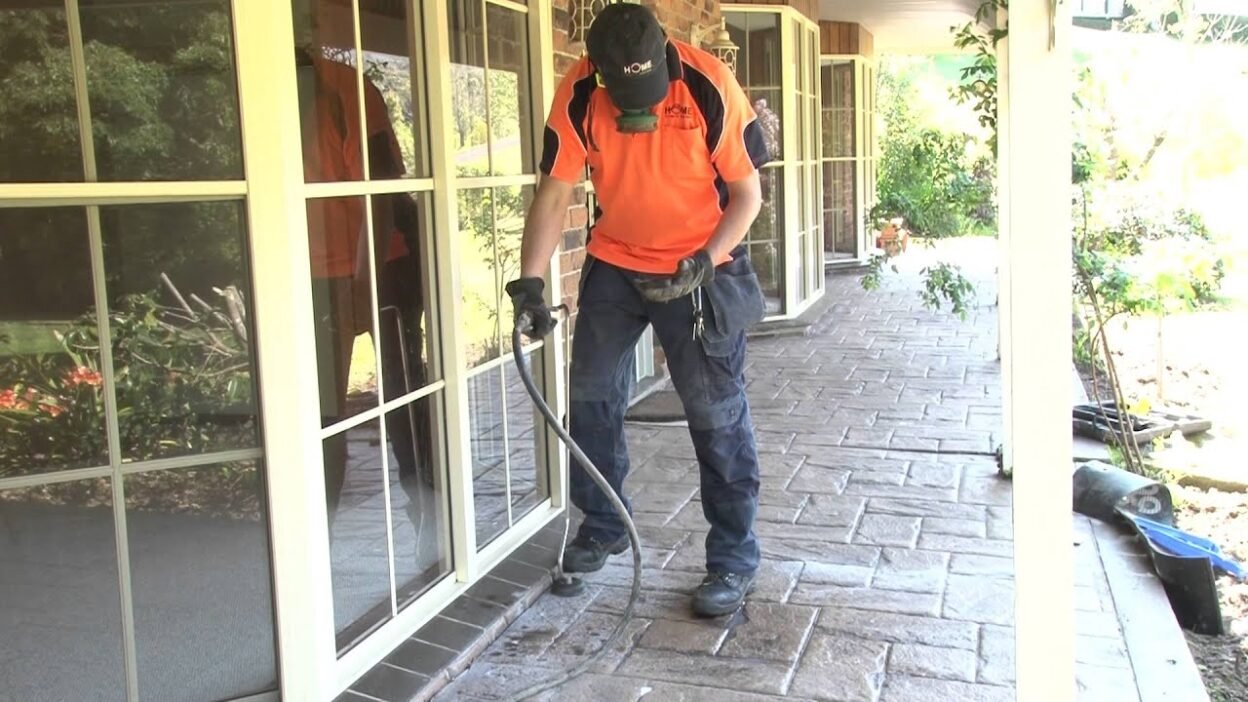 termite removal